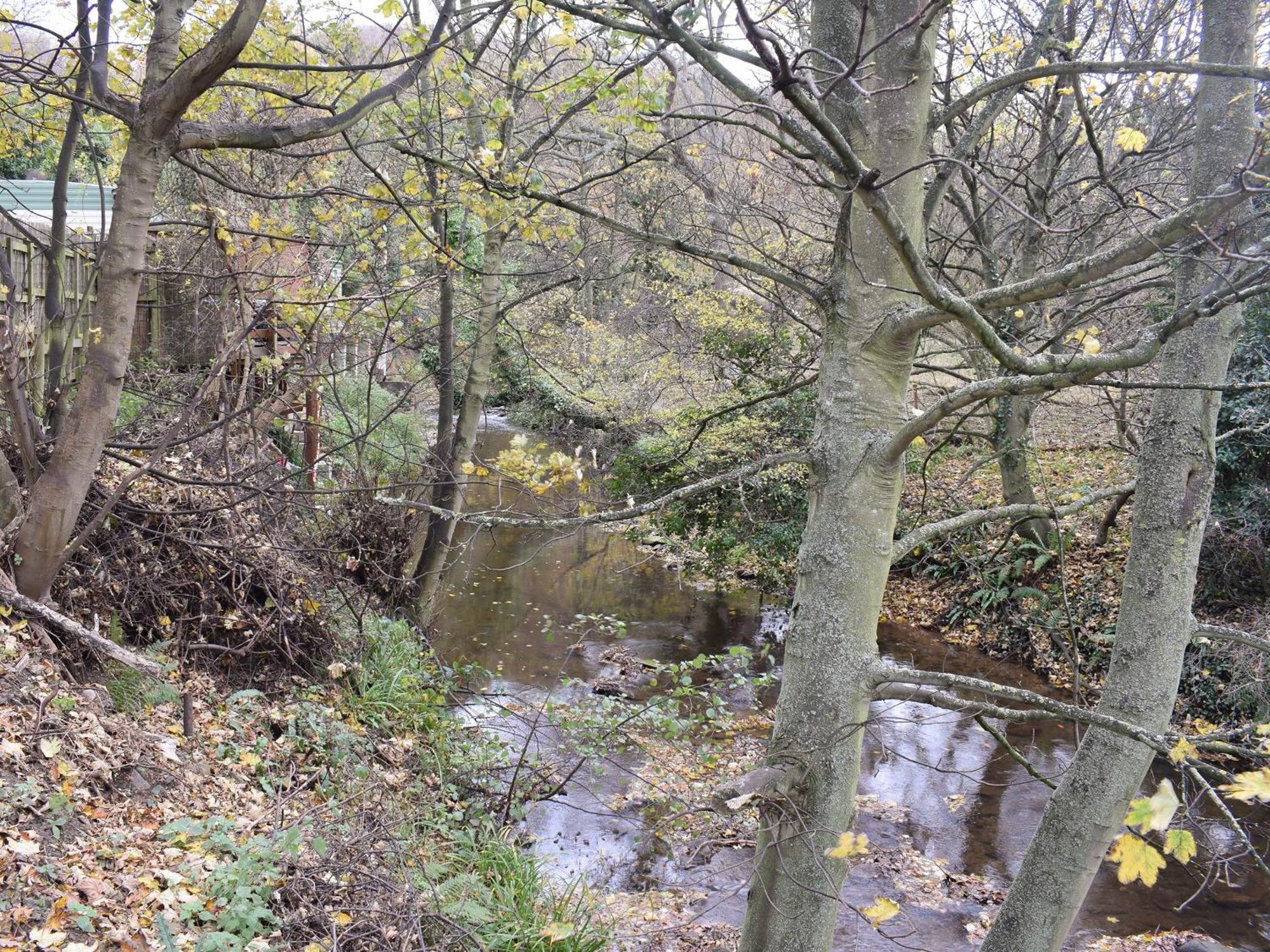 Pheasant Lodge Staithes Esterno foto