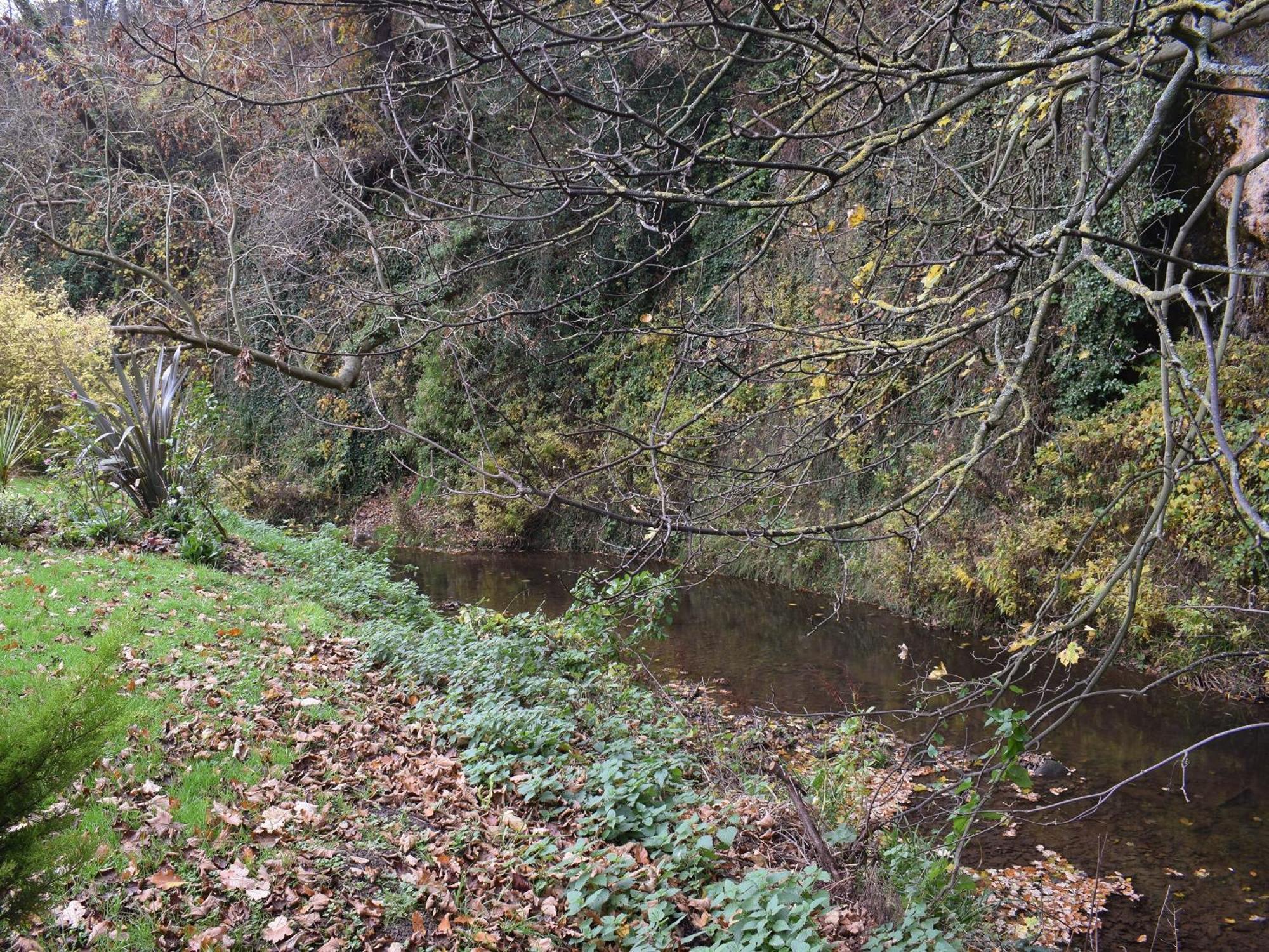 Pheasant Lodge Staithes Esterno foto